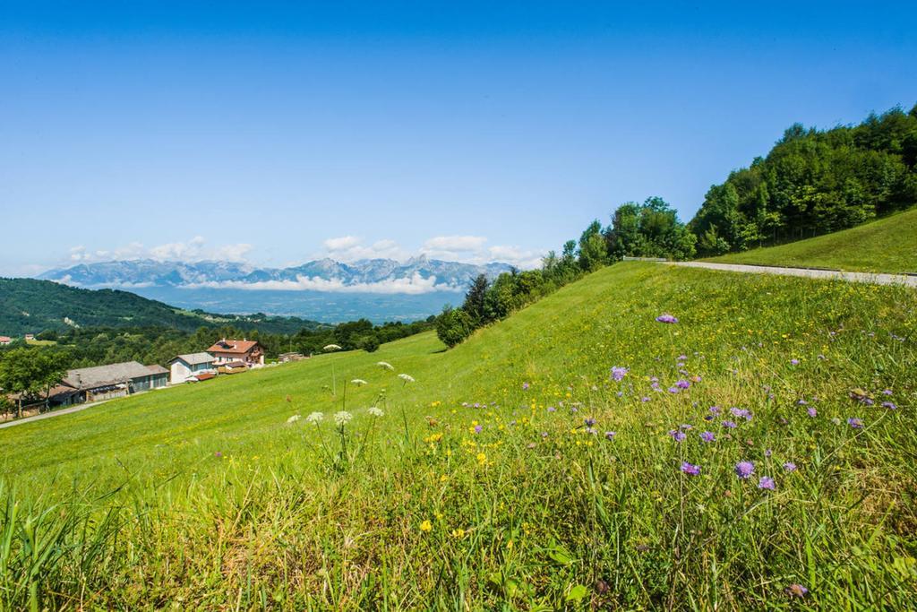 Agriturismo Fattoria Ortoalpino Trichiana Exterior photo